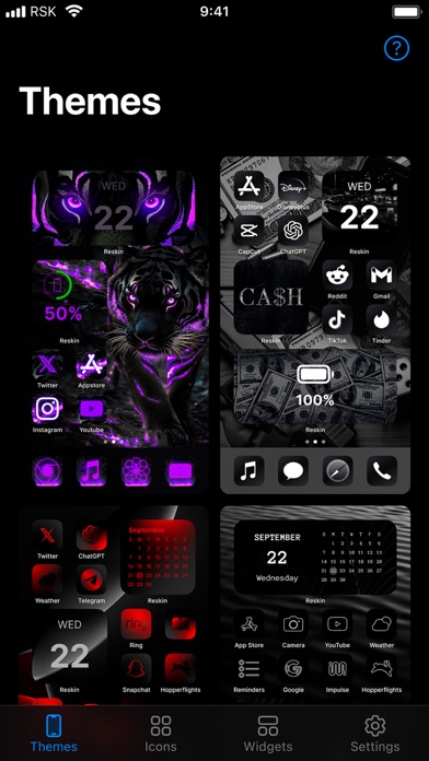 Reskin: Themes, Widgets, Icons screenshot 4