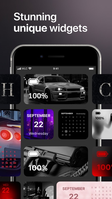Reskin: Themes, Widgets, Icons screenshot 5