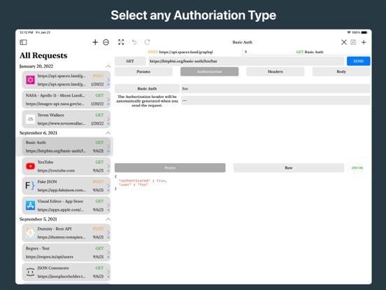 REST API Client screenshot 5