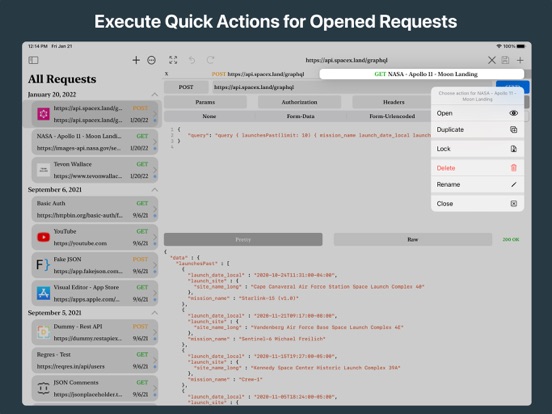 REST API Client screenshot 3