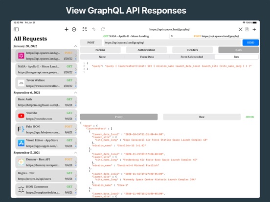 REST API Client screenshot 7