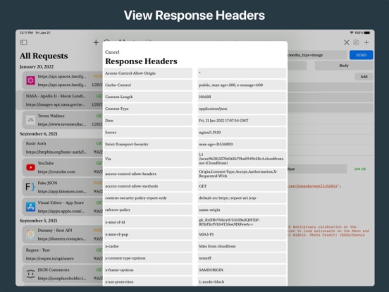REST API Client screenshot 6