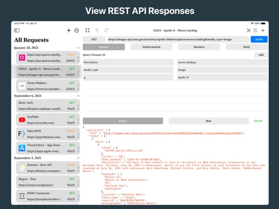 REST API Client screenshot 8