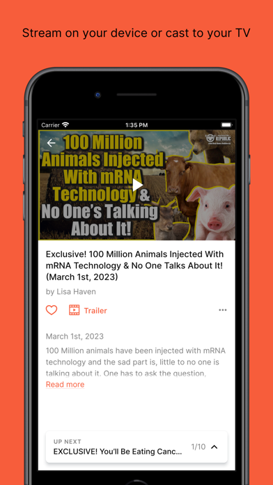 Restricted Republic screenshot 1