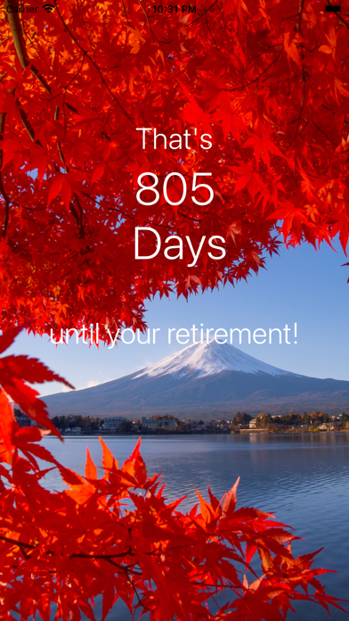 Retirement Countdown · screenshot 5