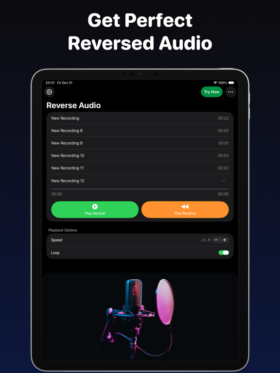 Reverse Audio: Voice Changer screenshot 2