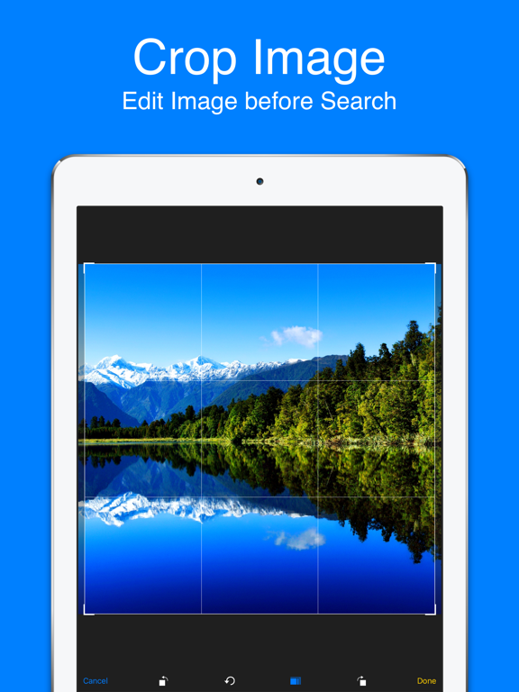 Reverse Image Search & AI Lens screenshot 1