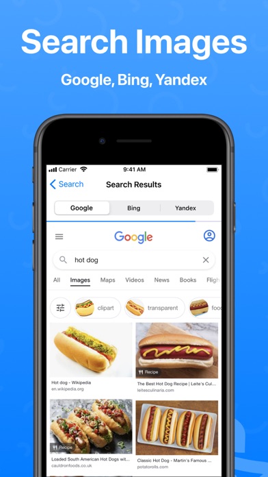 Reverse Image Search + screenshot 3