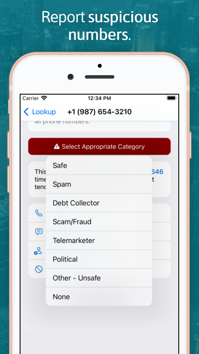 Reverse Lookup screenshot 3