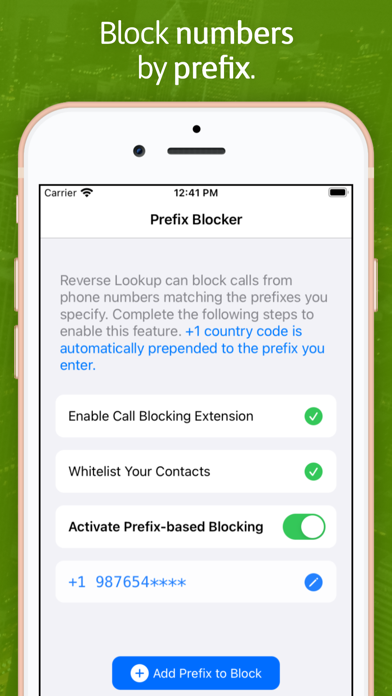 Reverse Lookup screenshot 2