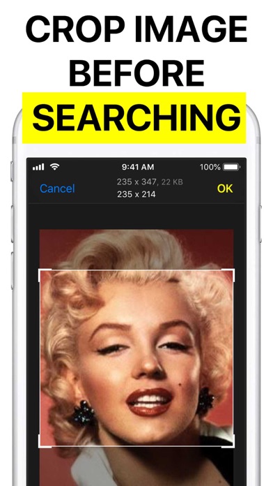 Reversee: Reverse Image Search screenshot 2