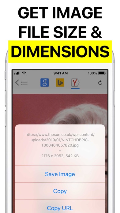 Reversee: Reverse Image Search screenshot 1