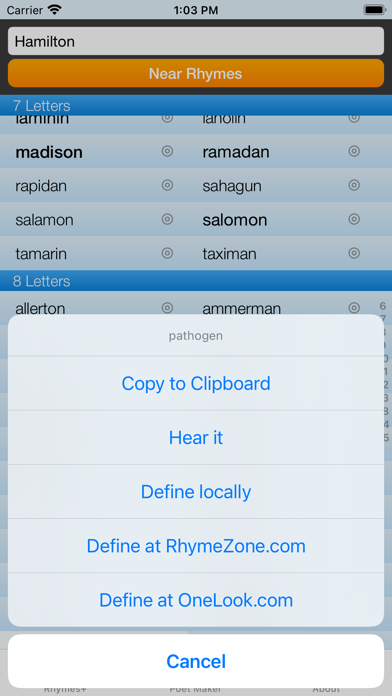 RhymeZone screenshot 3