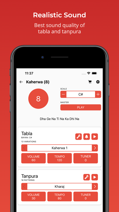 Rhythm with Tabla & Tanpura screenshot 3