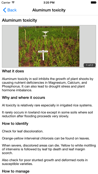 Rice Doctor screenshot 1