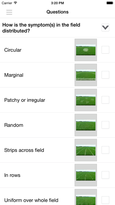 Rice Doctor screenshot 3