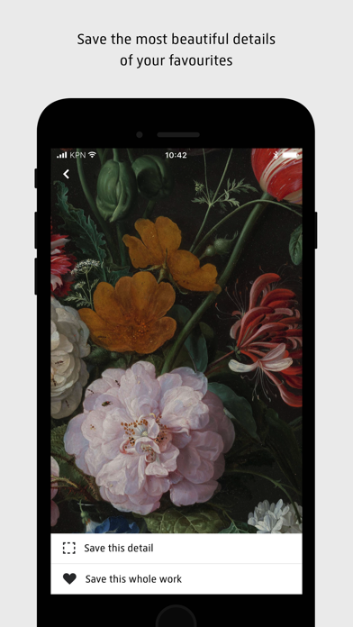 Rijksmuseum screenshot 1