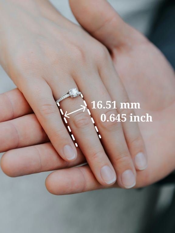 Ring Sizer by Jason Withers © screenshot 10