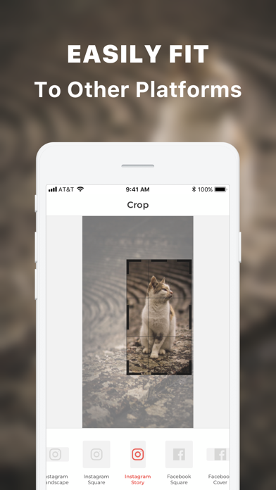 RNA Lens: Video Photo Editor screenshot 2