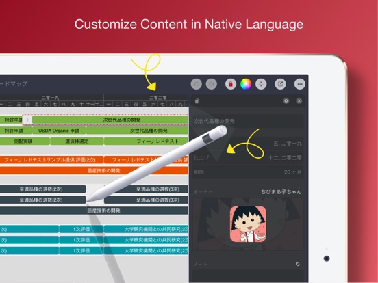 Roadmap - Timeline Plan Chart screenshot 3