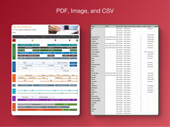 Roadmap - Timeline Plan Chart screenshot 2