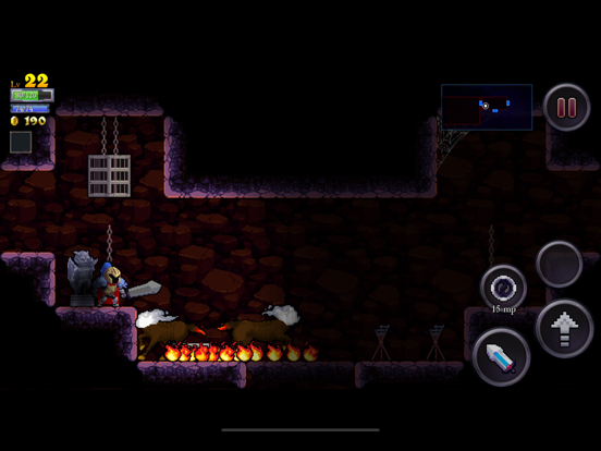 Rogue Legacy screenshot 9