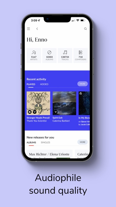 Roon screenshot 1