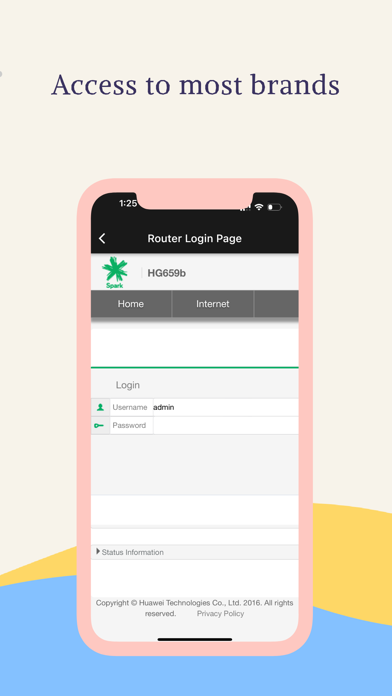 Router Setup Page screenshot 2