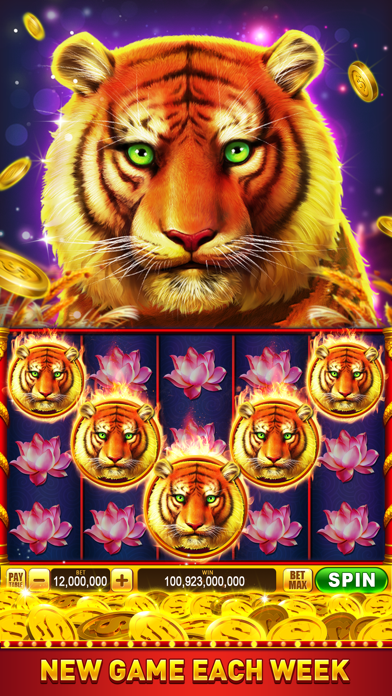 Royal Slots:Slot Machine Games screenshot 1