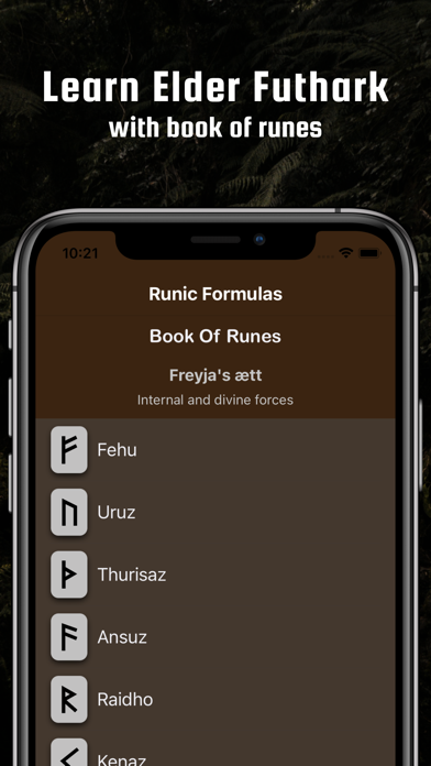 Runic Formulas & Book of Runes screenshot 4