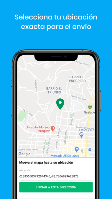 Rush Delivery screenshot 3