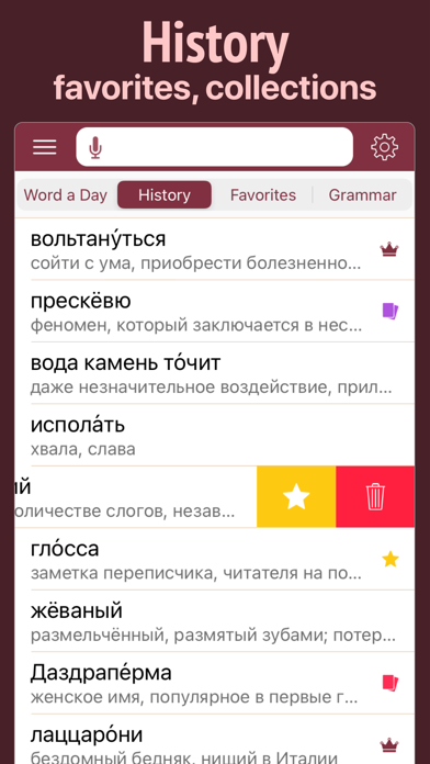 Russian Dictionary Wiki Word screenshot 3