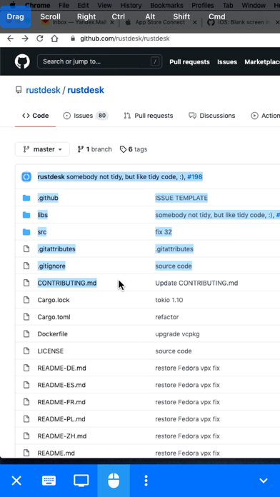RustDesk Remote Desktop screenshot 1