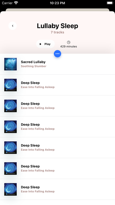 Sacred Acoustics screenshot 1