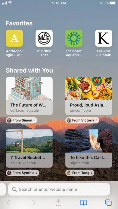 Safari screenshot 1