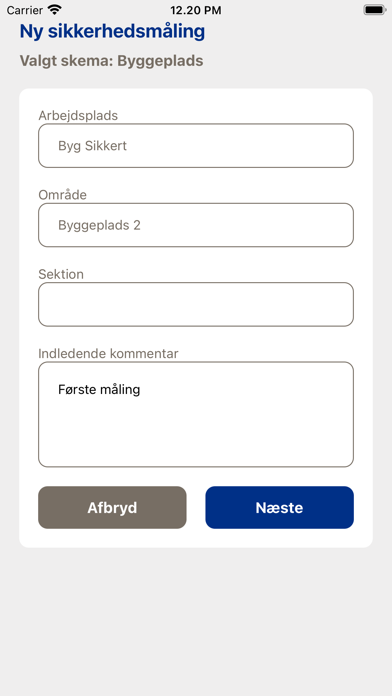 Safety Observer 3.0 screenshot 3