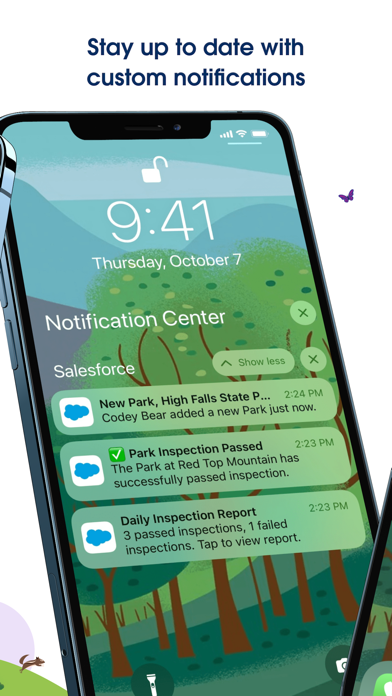 Salesforce screenshot 2