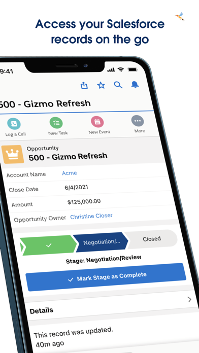 Salesforce screenshot 4