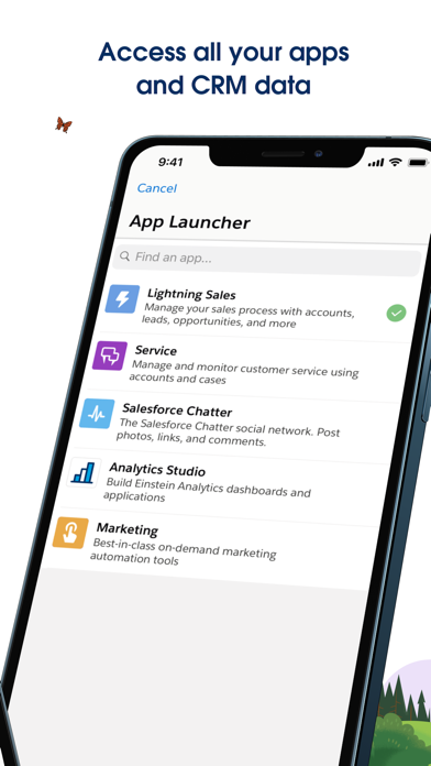 Salesforce screenshot 3