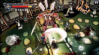 Samurai 2: Vengeance screenshot 4