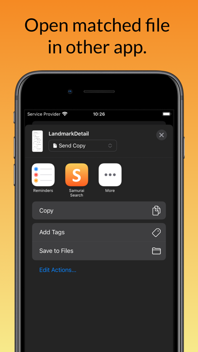 Samurai Search: Text/PDF files screenshot 1