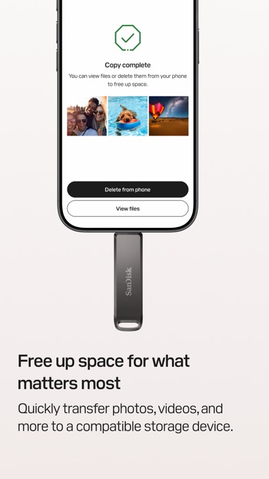 SanDisk Memory Zone screenshot 3