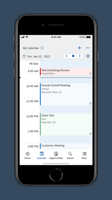 SAP Cloud for Customer screenshot 2