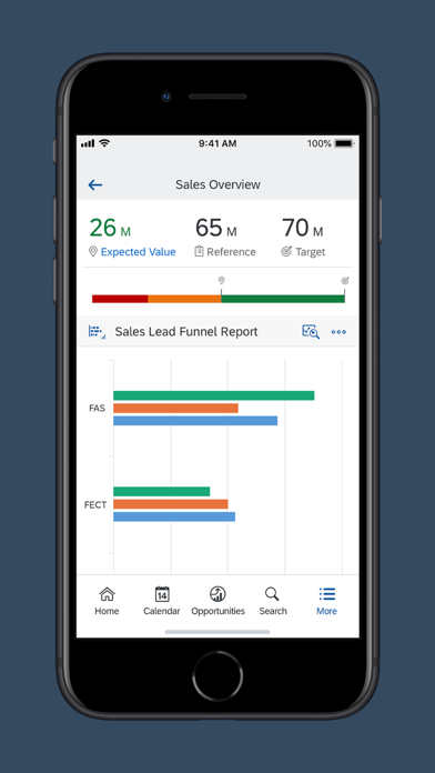 SAP Cloud for Customer screenshot 1