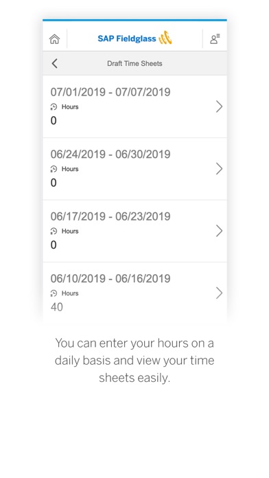 SAP Fieldglass Time Entry screenshot 2