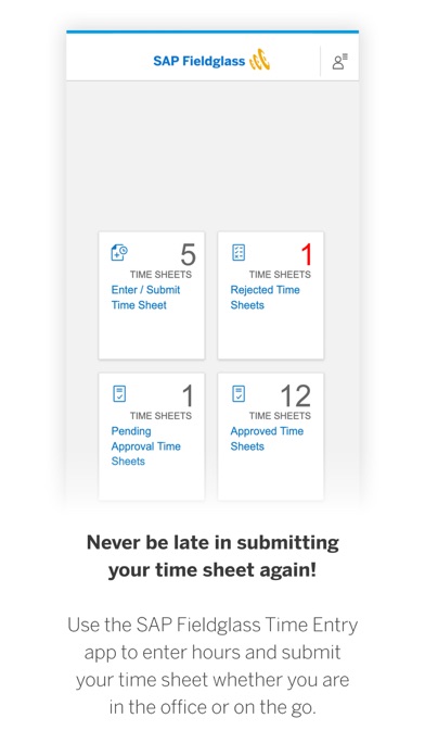 SAP Fieldglass Time Entry screenshot 4