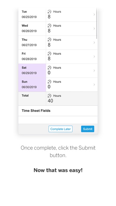 SAP Fieldglass Time Entry screenshot 3