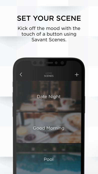 Savant screenshot 3