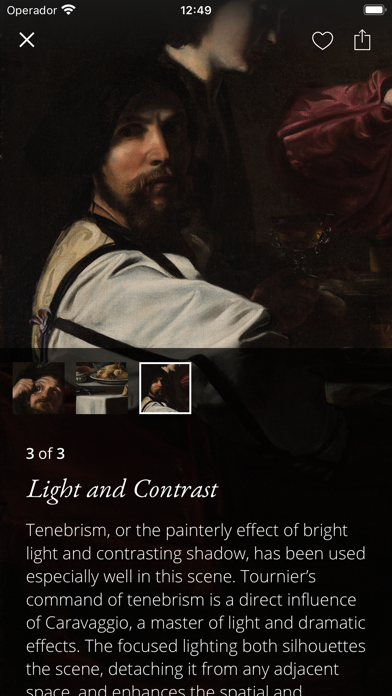 SC Saint Louis Art Museum screenshot 2