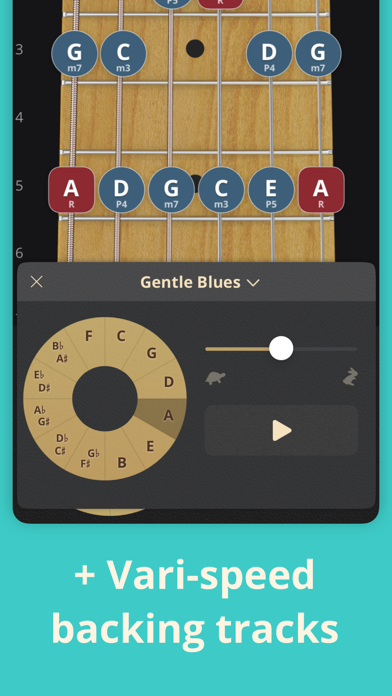 ScaleBank: Guitar Scales screenshot 3